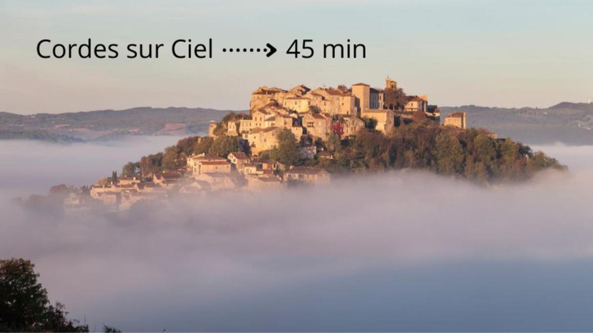 Cosy Appartement - Hypercentre - Calme - 30M2 - Albi Buitenkant foto